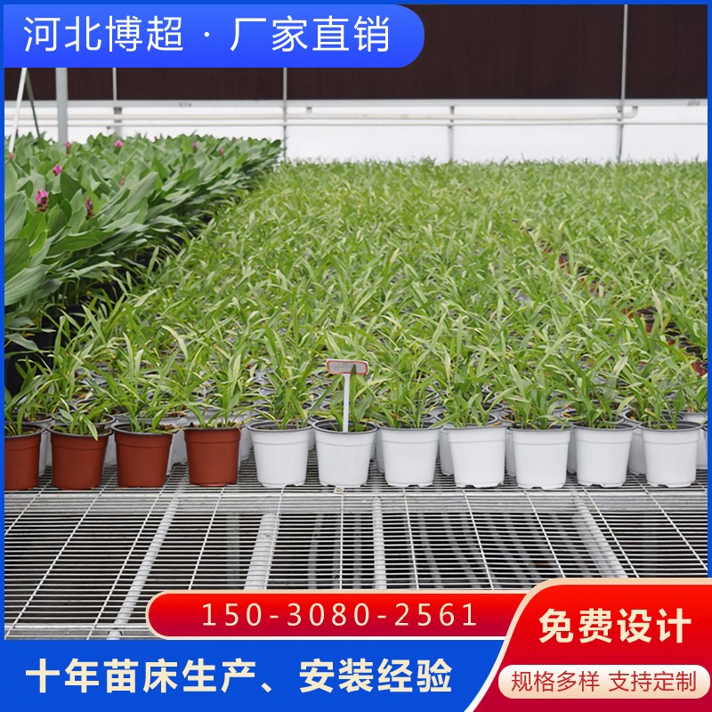 ����\�W(w��ng)Ƭ�Ƅ��紲